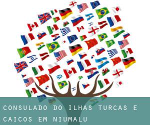 Consulado do Ilhas dos Cocos  em Washburn (Tennessee)