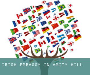 Irish Embassy in Amity Hill