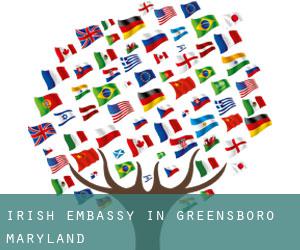 Irish Embassy in Greensboro (Maryland)