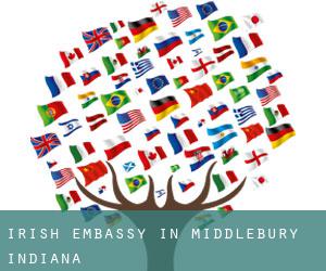 Irish Embassy in Middlebury (Indiana)