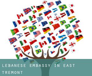 Lebanese Embassy in East Tremont